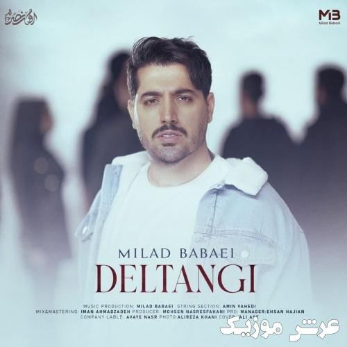 milad babaei deltangi