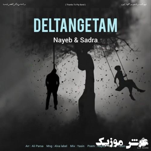 nayeb deltangetam sadra