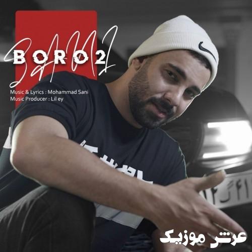 sani boro 2
