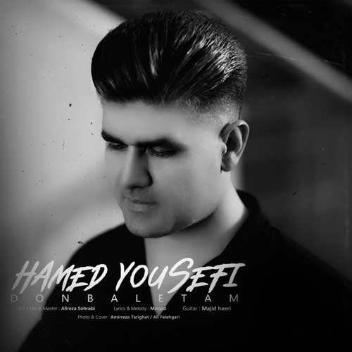 Hamed Yousefi Donbaletam