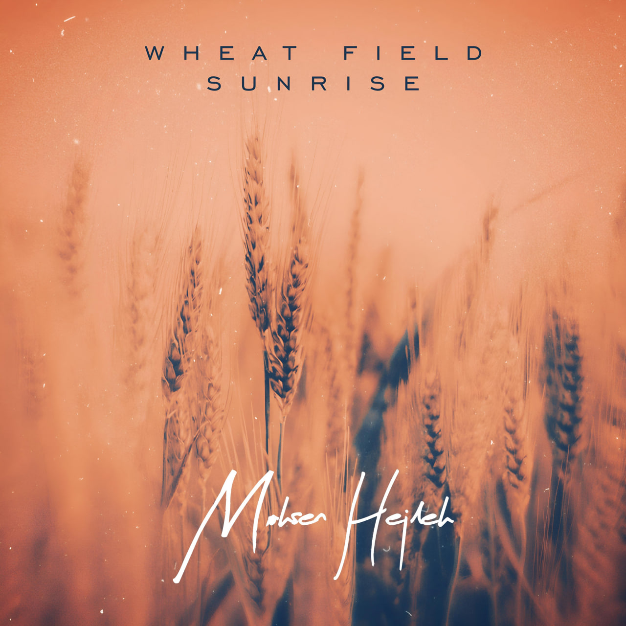 Mohsen Hejleh Wheat Field Sunrise