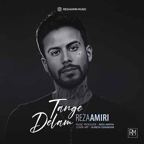 Reza Amiri Delam Tange