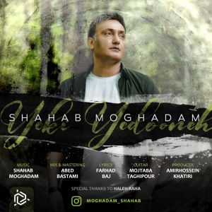 Shahab Moghaddam shahab moghadam yeki yedoone