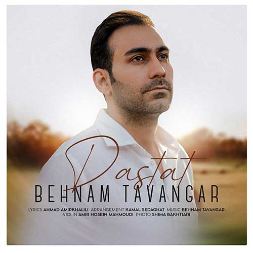 Behnam Tavangar 1