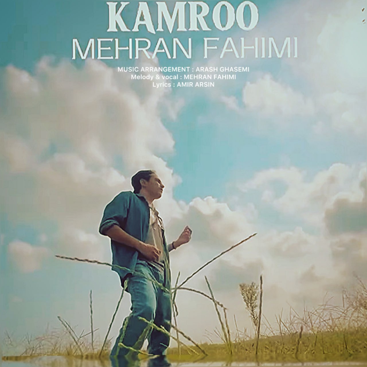 Mehran Fahimi Kam Roo