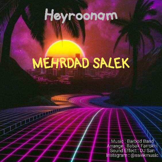 Mehrdad Salek Heyroonam