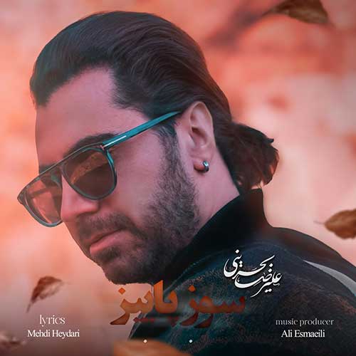 Alireza Bahreini Sooze Paeez