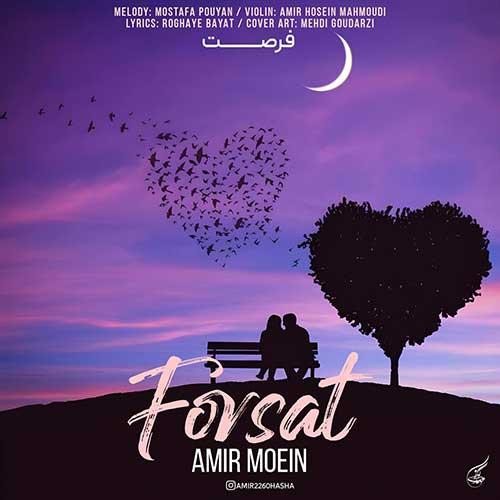 Amir Moein Forsat