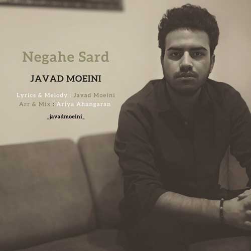 Javad Moeini Negahe Sard