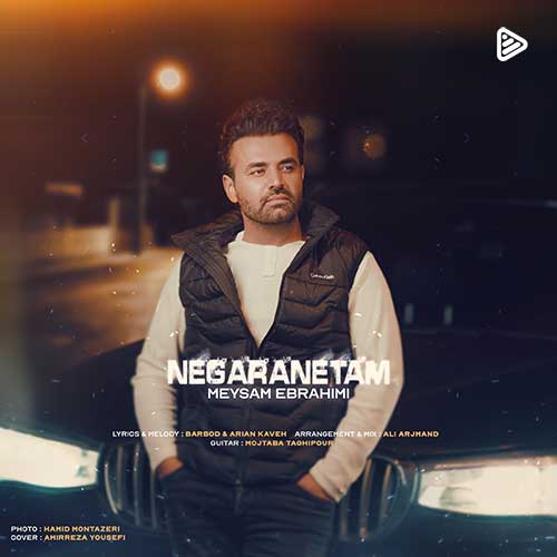 Meysam Ebrahimi Negaranetam
