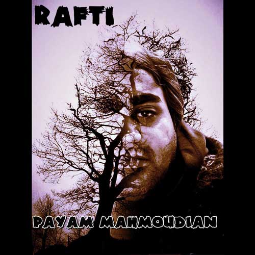 Payam Mahmoudian Rafti