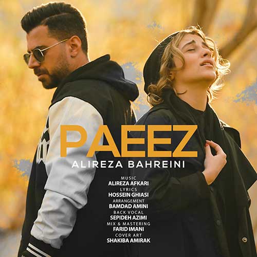 Alireza Bahreini Paeez