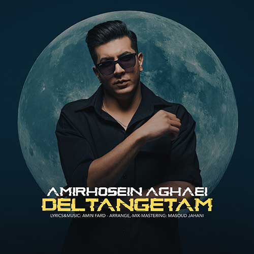 Amirhossein Aghaei Deltangetam
