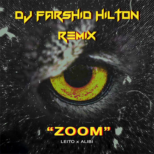Behzad Leito Zoom