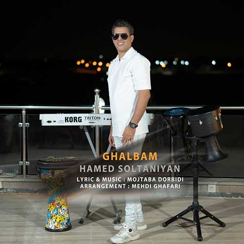 Hamed Soltaniyan Ghalbam