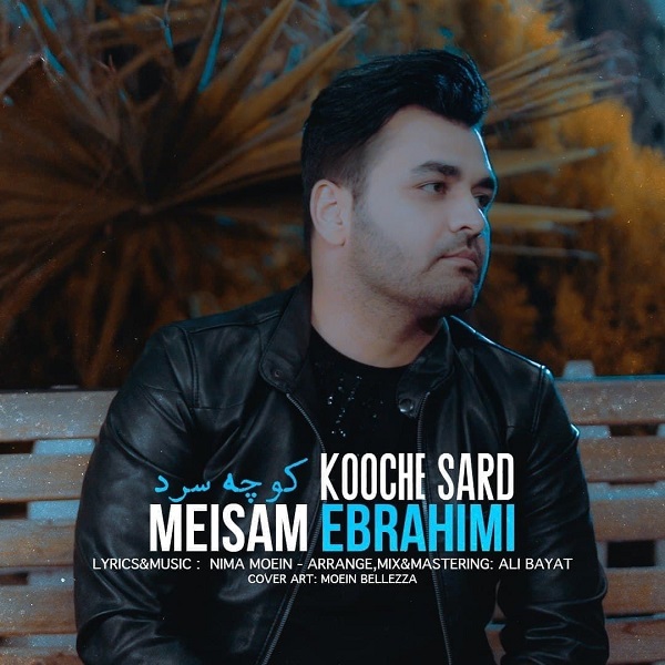 Meysam Ebrahimi Kooche Sard