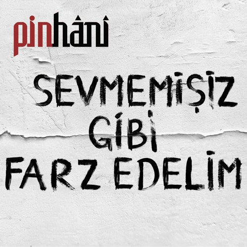 Pinhani Sevmemisiz Gibi Farz Edelim
