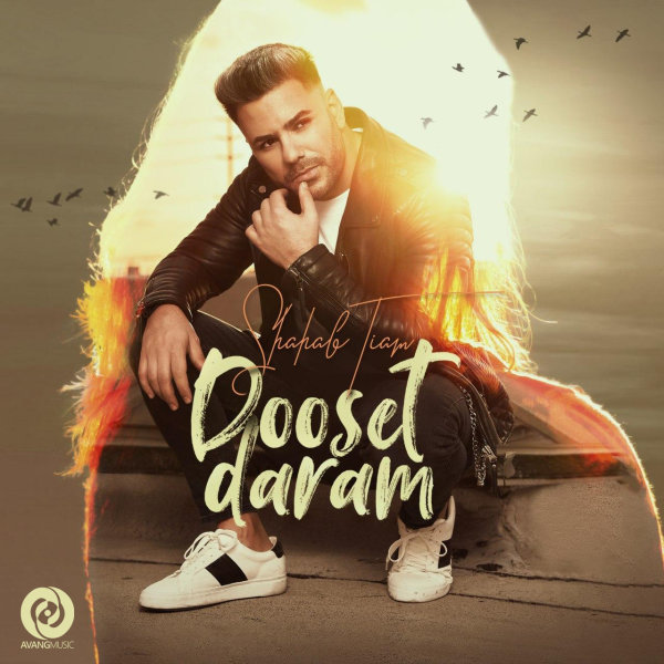 Shahab Tiam Dooset Daram