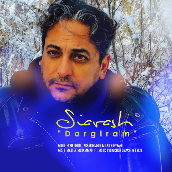 Siavash Shams Dargiram