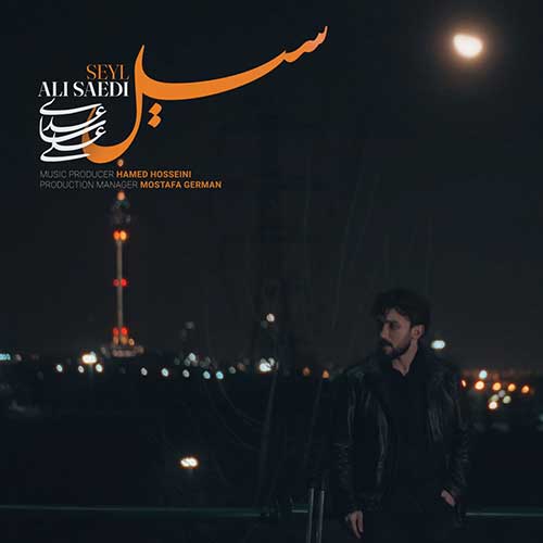 Ali Saedi Seyl