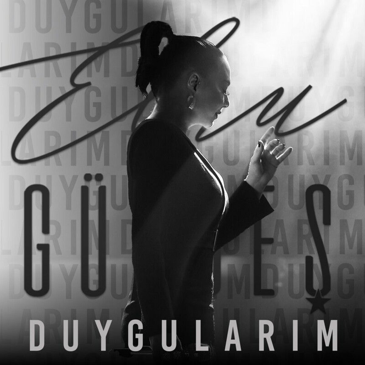 Ebru Gundes Duygularim