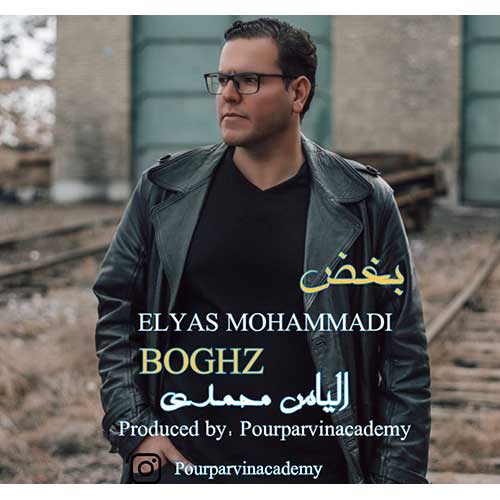 Elyas Mohammadi Boghz