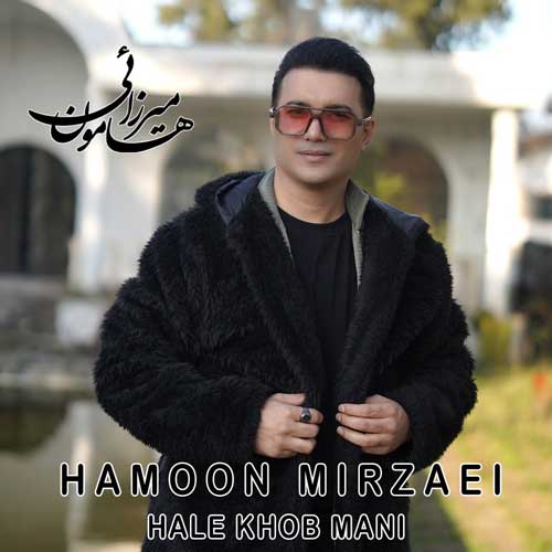 Hamoon Mirzaei Hale Khoobe Mani