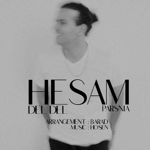 Hesam Parsnia Del Del