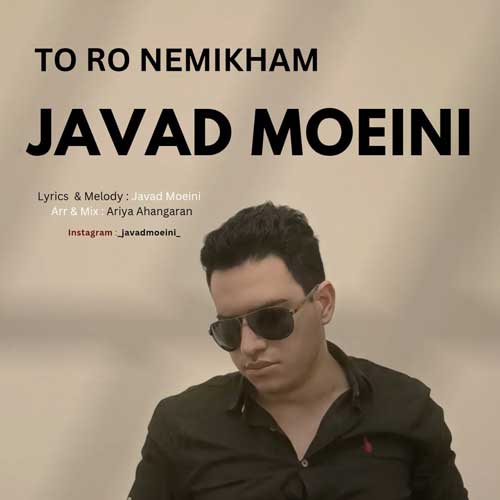 Javad Moeini Toro Nemikham