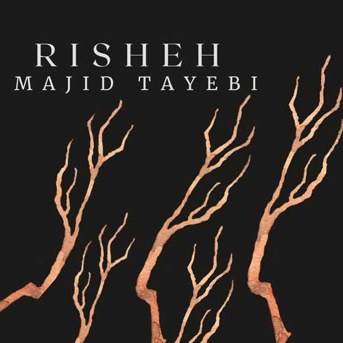 Majid Tayebi Risheh