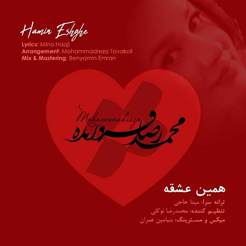 Mohammadreza Forouzandeh Hamin Eshghe