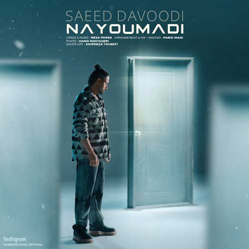Saeed Davoodi Nayoumadi