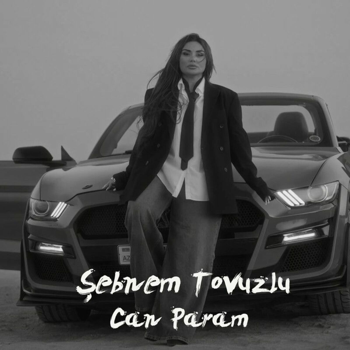Sebnem Tovuzlu Can Param