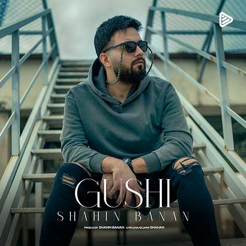 Shahin Banan Gushi