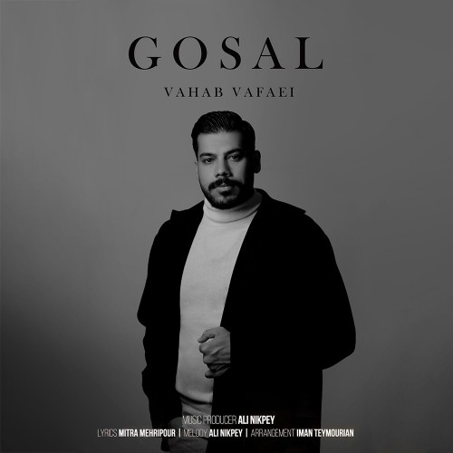 vahab vafaei gosal