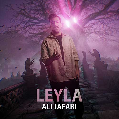 Ali Jafari Leyla