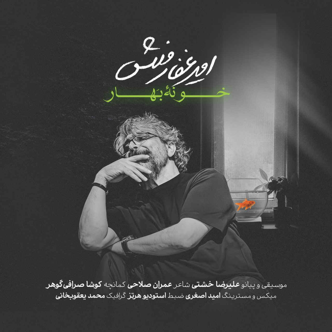 Amir Ghaffarmanesh Khoneye Bahar