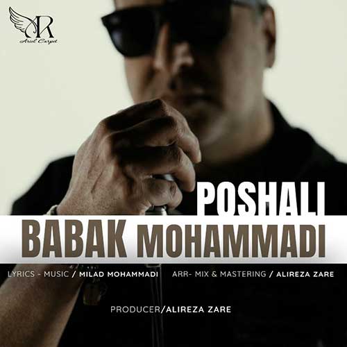 Babak Mohammadi Poshali