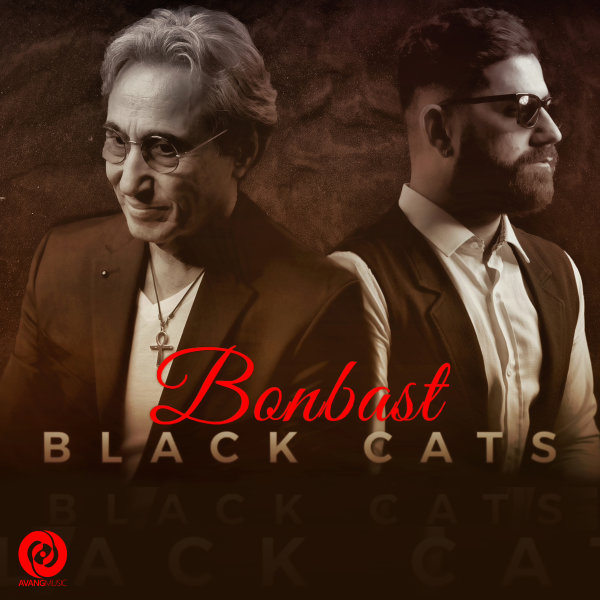 Black Cats Bonbast