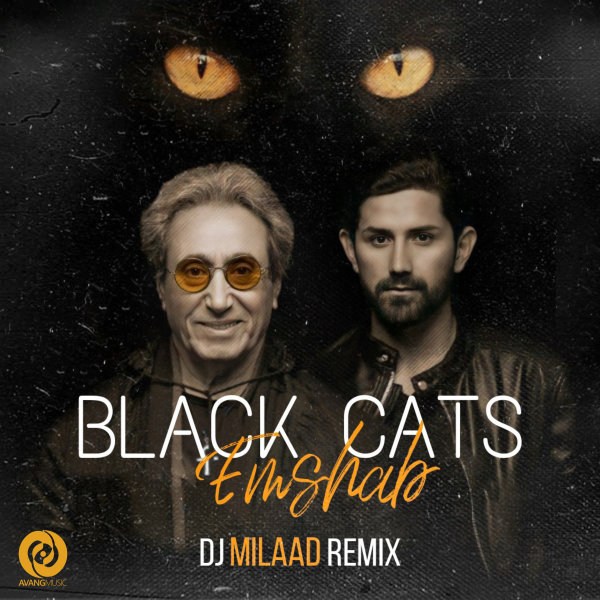 Black Cats Emshab