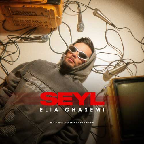 Elia Ghasemi Seyl