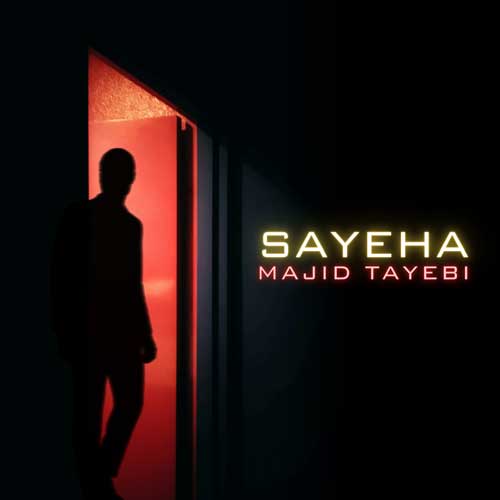 Majid Tayebi Sayeha