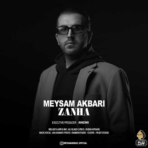 Meysam Akbari Zanha