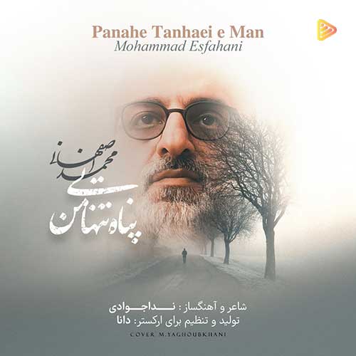 Mohammad Esfahani Panahe Tanhaeie Man
