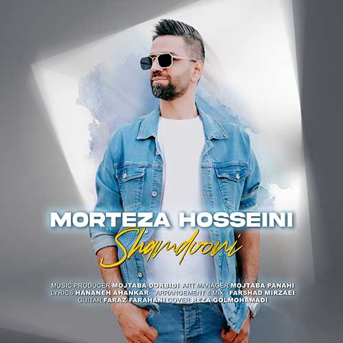 Morteza Hosseini Shamdooni