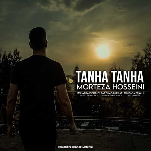 Morteza Hosseini Tanha Tanha