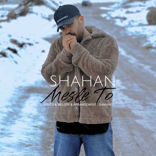 Shahan Mesle To