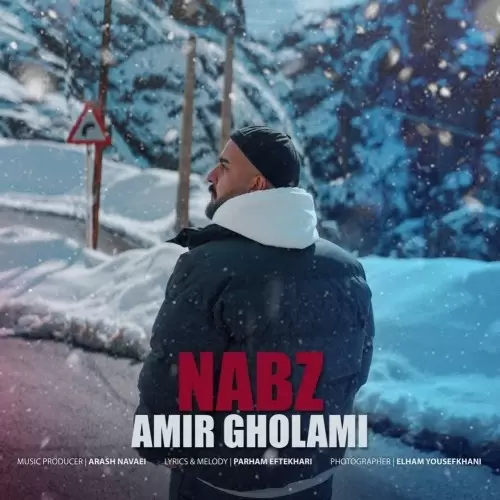 amir gholami nabz