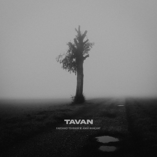 farshad tehrani amir khalvat tavan