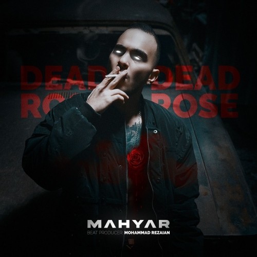 mahyar dead rose